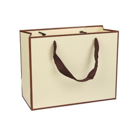 Подарунковий пакет картонний 